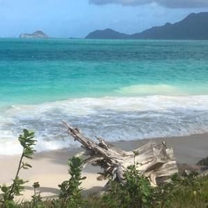 Meet your Posher, Maureen